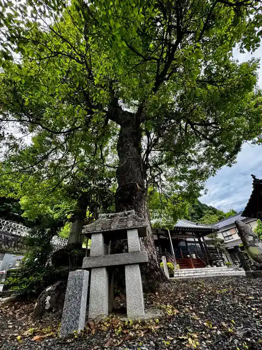 見河山 妙雲寺(京都府)
