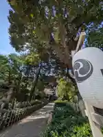 赤坂氷川神社(東京都)