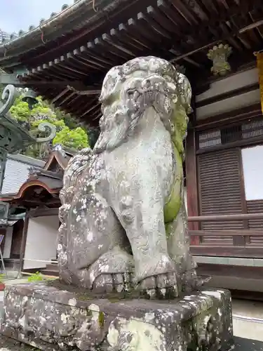 柳谷観音　楊谷寺の狛犬