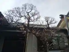 住吉神社の自然