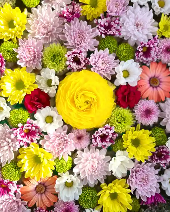 伊達神社の手水舎