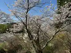 高屋敷稲荷神社(福島県)