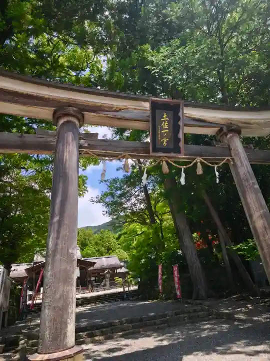 土佐神社の{uncategorized: "未分類", other: "その他", undefined: "問題あり", building: "その他建物", grave: "お墓", sacred_gate: "鳥居", guardian: "狛犬", statue: "像", buddha: "仏像", history: "歴史", nature: "自然", garden: "庭園", animal: "動物", pagoda: "塔", temizu: "手水舎", mountain_gate: "山門・神門", sanctuary: "本殿・本堂", subordinate: "末社・摂社", art: "芸術", scenery: "景色", jizo: "地蔵", ema: "絵馬", goshuin: "御朱印", omikuji: "おみくじ", items: "授与品その他", amulet: "お守り", goshuincho: "御朱印帳", eats: "食事", festival: "お祭り", votive_dance: "神楽", shichigosan: "七五三参", wedding: "結婚式", experience: "体験その他", initially: "初詣", around: "周辺", anti_infection: "感染症対策"}