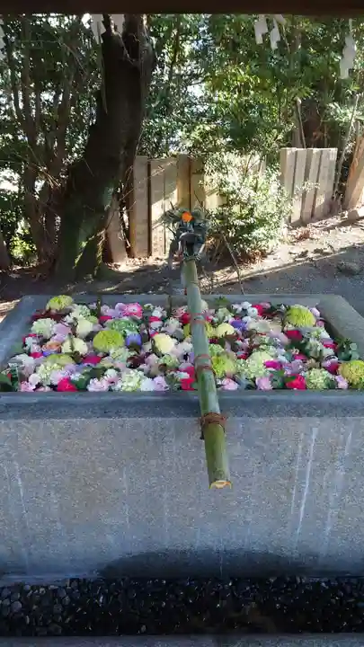 豊山八幡神社の手水舎