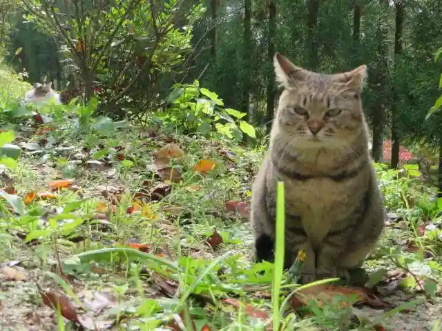 南禅寺(京都府)