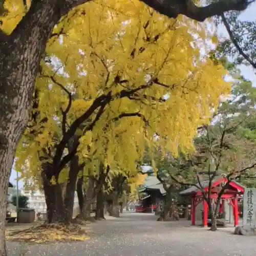 美奈宜神社(福岡県)