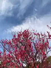 曽根天満宮の自然