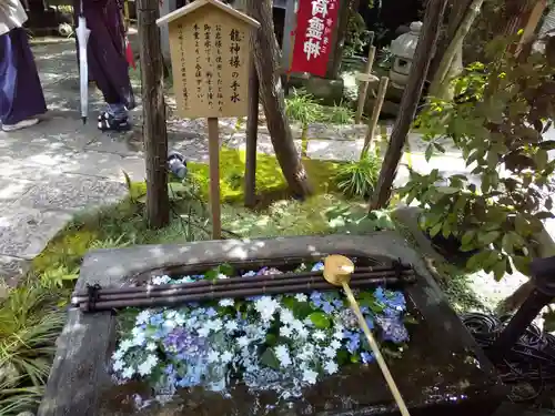 陽運寺の手水舎