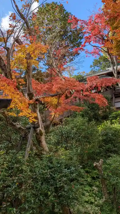 光明寺(粟生光明寺)(京都府)