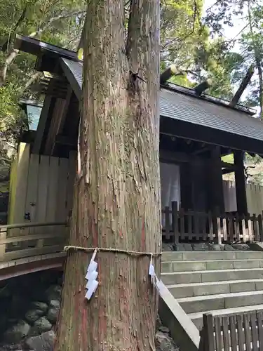 多度大社(三重県)