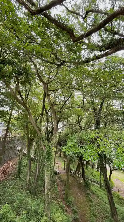 福母八幡宮の自然