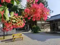 武蔵第六天神社(埼玉県)