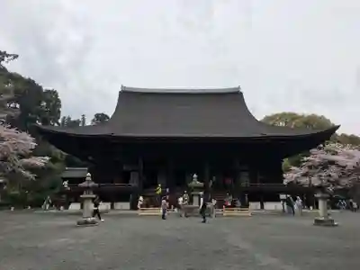 園城寺（三井寺）の本殿・本堂
