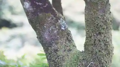東福禅寺(東福寺)(京都府)