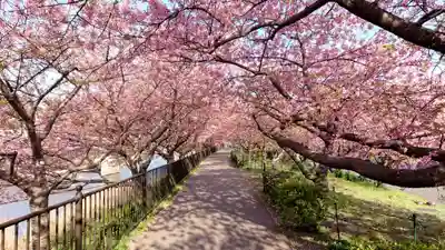 須佐乃男神社   の動物
