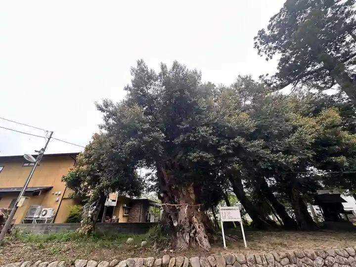 日吉神社(福井県)