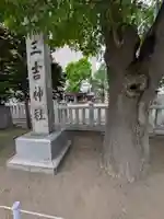 三吉神社の自然