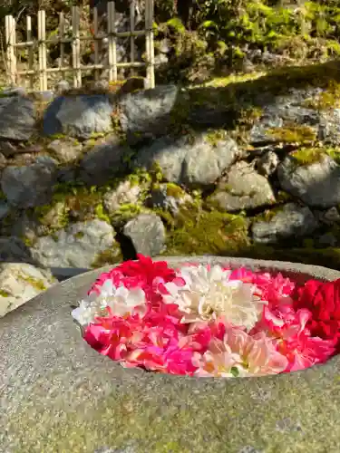 正寿院(京都府)