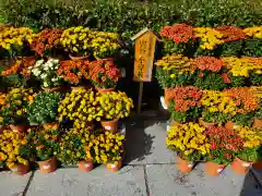 笠間稲荷神社(茨城県)