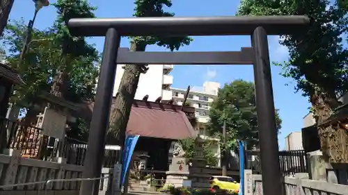 高円寺氷川神社の鳥居