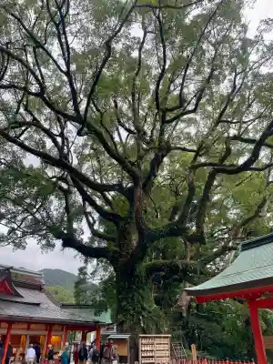 熊野那智大社(和歌山県)