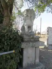 柳澤神社の狛犬