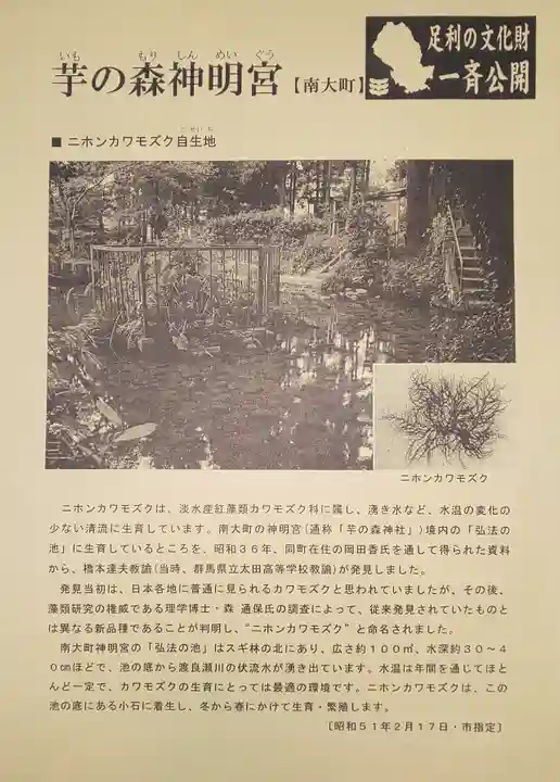 神明宮 (芋森神社)のその他建物