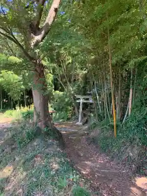 星宮大神(千葉県)