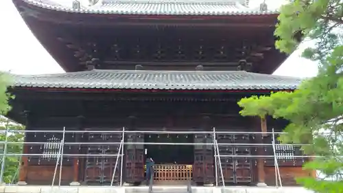 妙心寺（妙心禅寺）の本殿・本堂