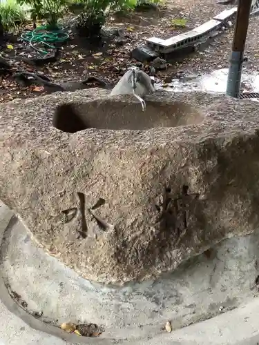神明社（八事町）の手水舎