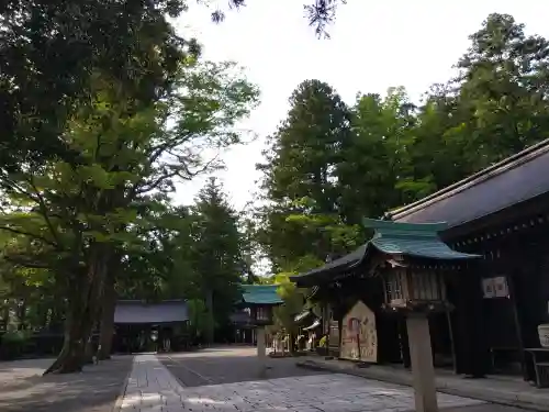 雄山神社前立社壇の{uncategorized: "未分類", other: "その他", undefined: "問題あり", building: "その他建物", grave: "お墓", sacred_gate: "鳥居", guardian: "狛犬", statue: "像", buddha: "仏像", history: "歴史", nature: "自然", garden: "庭園", animal: "動物", pagoda: "塔", temizu: "手水舎", mountain_gate: "山門・神門", sanctuary: "本殿・本堂", subordinate: "末社・摂社", art: "芸術", scenery: "景色", jizo: "地蔵", ema: "絵馬", goshuin: "御朱印", omikuji: "おみくじ", items: "授与品その他", amulet: "お守り", goshuincho: "御朱印帳", eats: "食事", festival: "お祭り", votive_dance: "神楽", shichigosan: "七五三参", wedding: "結婚式", experience: "体験その他", initially: "初詣", around: "周辺", anti_infection: "感染症対策"}