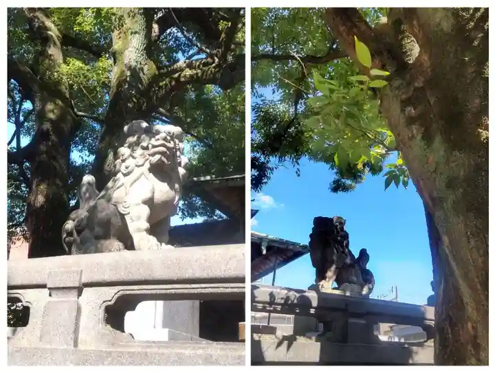 千住氷川神社(東京都)