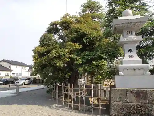 神明神社のその他建物