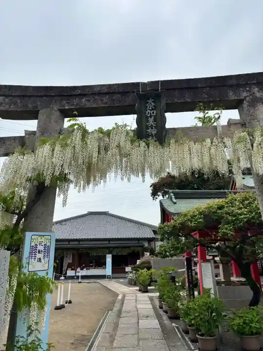 奈加美神社の{uncategorized: "未分類", other: "その他", undefined: "問題あり", building: "その他建物", grave: "お墓", sacred_gate: "鳥居", guardian: "狛犬", statue: "像", buddha: "仏像", history: "歴史", nature: "自然", garden: "庭園", animal: "動物", pagoda: "塔", temizu: "手水舎", mountain_gate: "山門・神門", sanctuary: "本殿・本堂", subordinate: "末社・摂社", art: "芸術", scenery: "景色", jizo: "地蔵", ema: "絵馬", goshuin: "御朱印", omikuji: "おみくじ", items: "授与品その他", amulet: "お守り", goshuincho: "御朱印帳", eats: "食事", festival: "お祭り", votive_dance: "神楽", shichigosan: "七五三参", wedding: "結婚式", experience: "体験その他", initially: "初詣", around: "周辺", anti_infection: "感染症対策"}