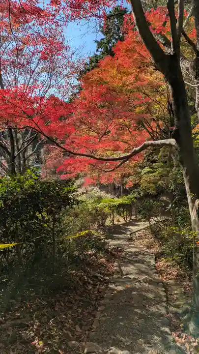 十輪寺(京都府)