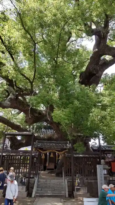 三島神社(大阪府)