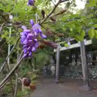 岐阜稲荷山本社(岐阜県)