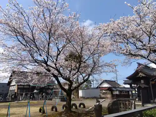 常国寺(新潟県)