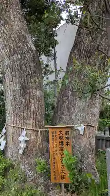 宮地嶽神社の自然