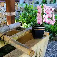 天宮神社の手水