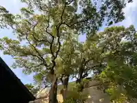 貴布禰神社(静岡県)