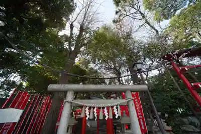 居木神社の鳥居