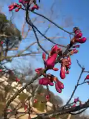 大生郷天満宮の自然