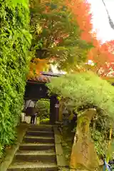 金福寺の山門