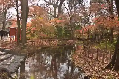 賀茂御祖神社（下鴨神社）(京都府)