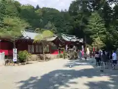 箱根神社の建物その他