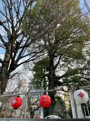 桜神宮(東京都)