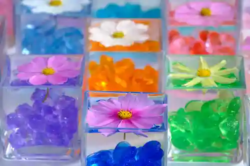 般若寺 ❁﻿コスモス寺❁(奈良県)