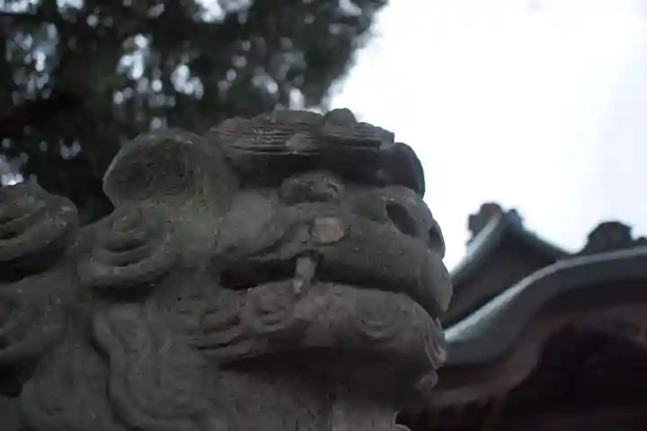 本宿天神社の狛犬