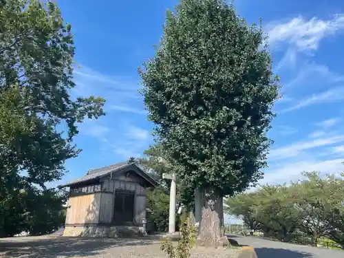 白髭神社（三郷）(岐阜県)